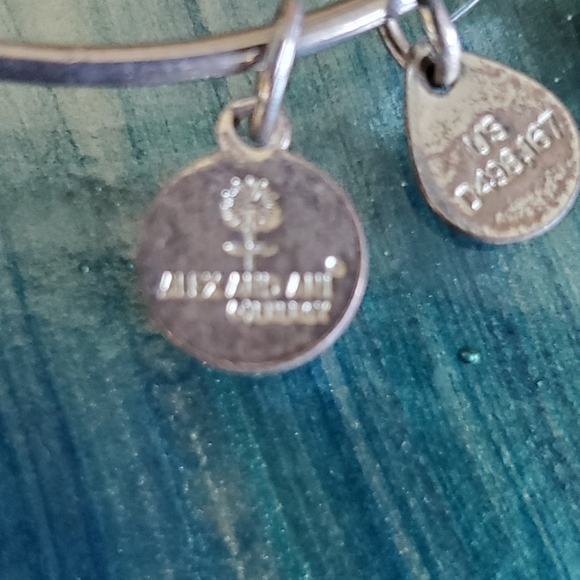 Alex and Ani Large Crystal Bangle Bracelet - Picture 4 of 4